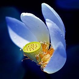 《守望先锋：归来》执行制作人：PVE还要再等等